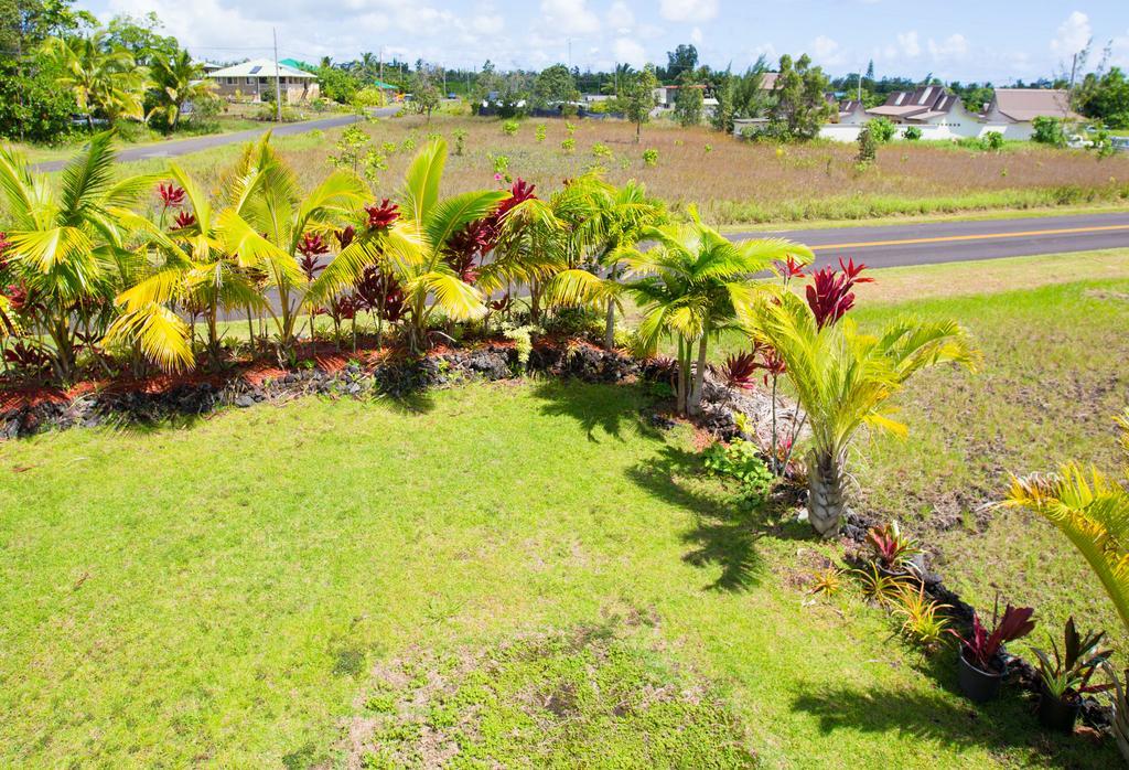 Coconut Palms Vacation Rental Near Lava Fields And Beaches Kehena Екстериор снимка