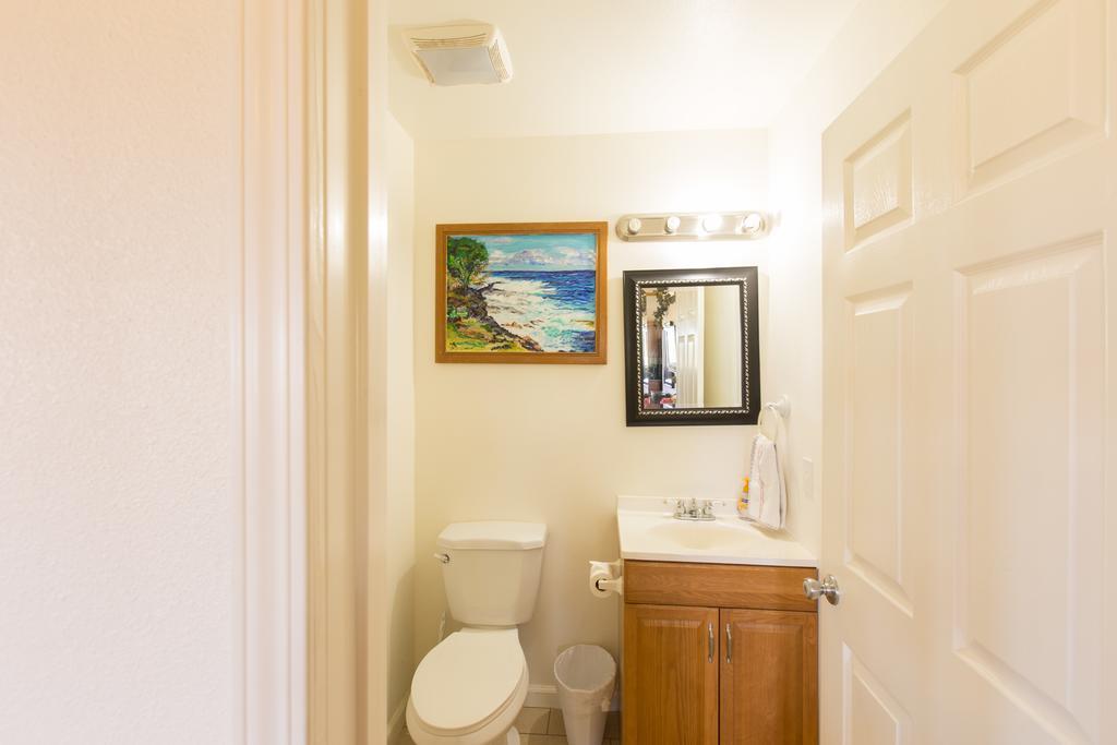 Coconut Palms Vacation Rental Near Lava Fields And Beaches Kehena Екстериор снимка