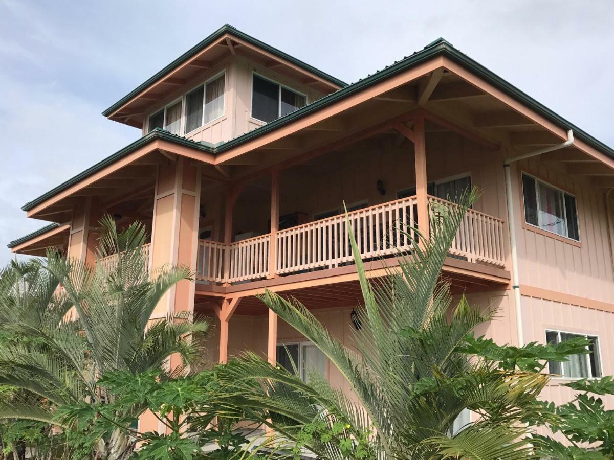 Coconut Palms Vacation Rental Near Lava Fields And Beaches Kehena Екстериор снимка